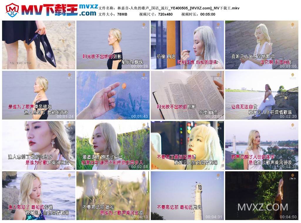 林嘉音-人鱼的歌声_国语_流行_YE400505